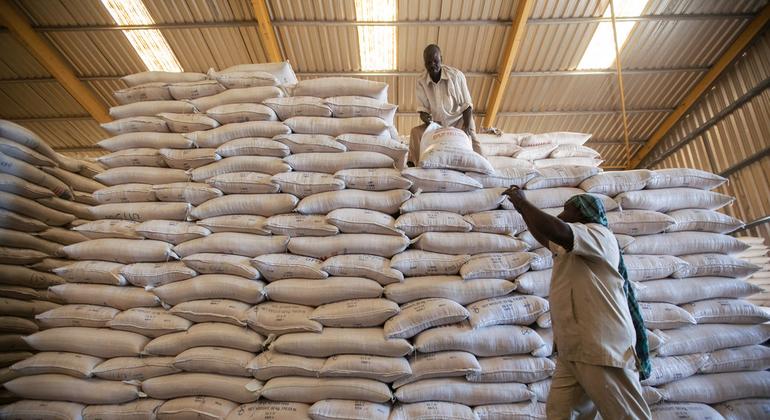 WFP chief puts hold on Sudan aid operations following death