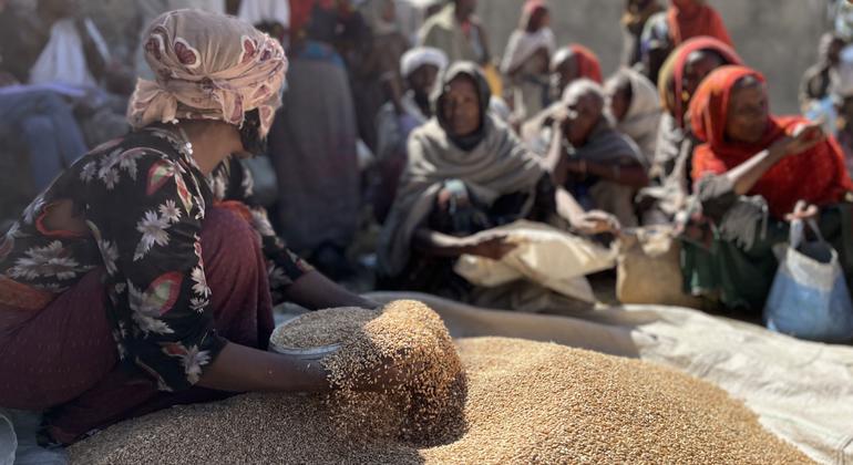 WFP pauses food distribution in Ethiopia following ‘significant diversion of