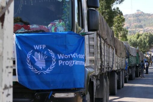 WFP plan aims to prevent further food aid diversion in