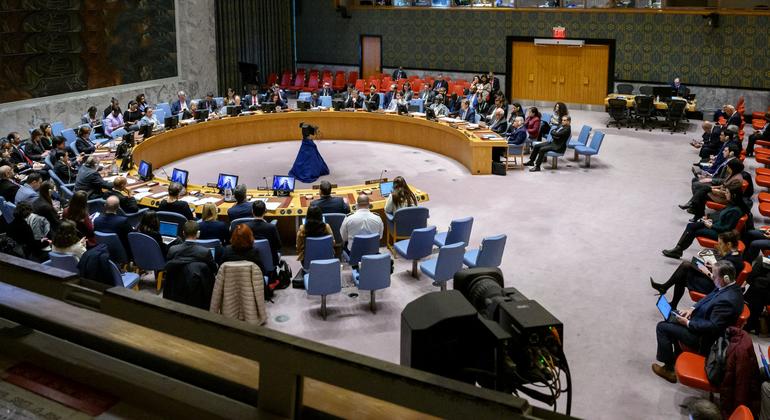 Security Council hears Gaza famine almost inevitable unless aid is